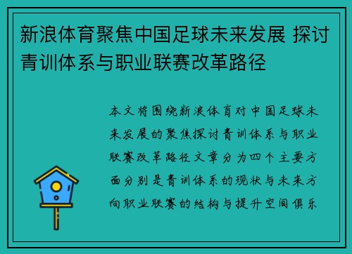 新浪体育聚焦中国足球未来发展 探讨青训体系与职业联赛改革路径
